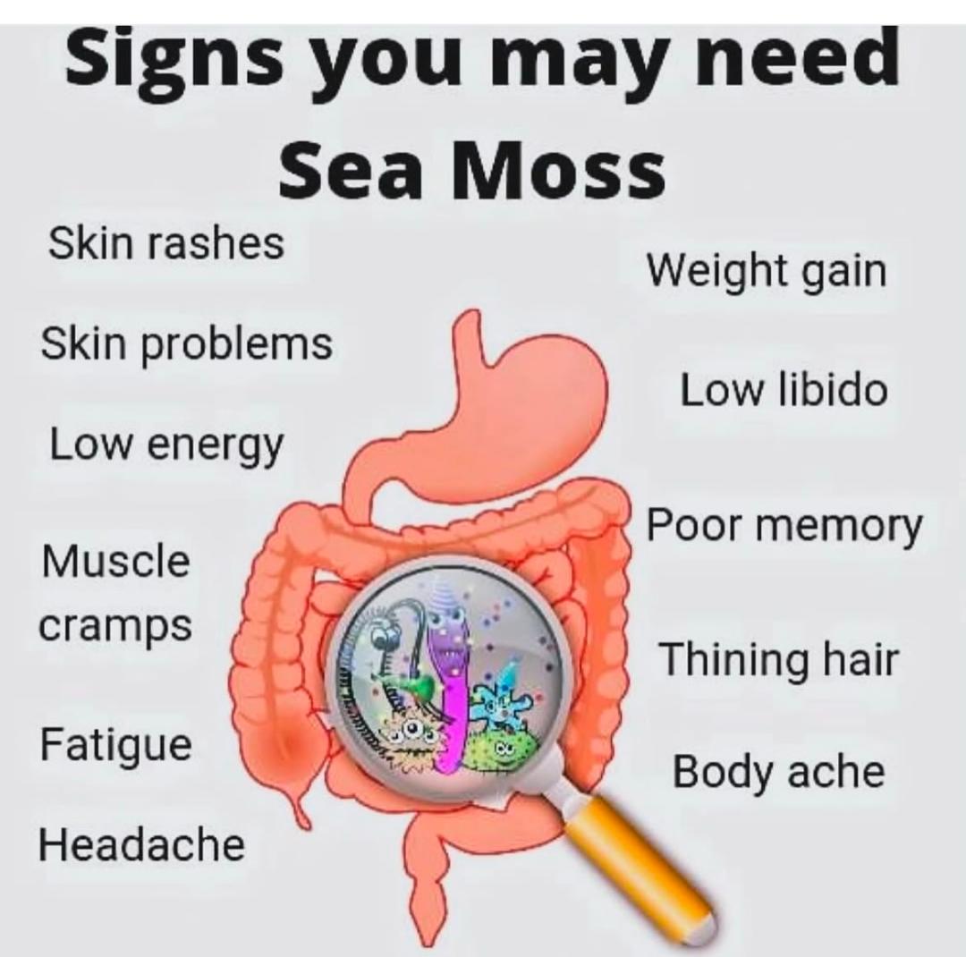 Sea Moss